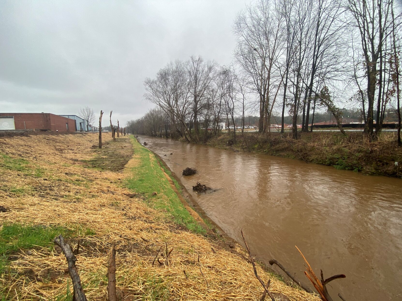 Unity Park Reedy River restoration